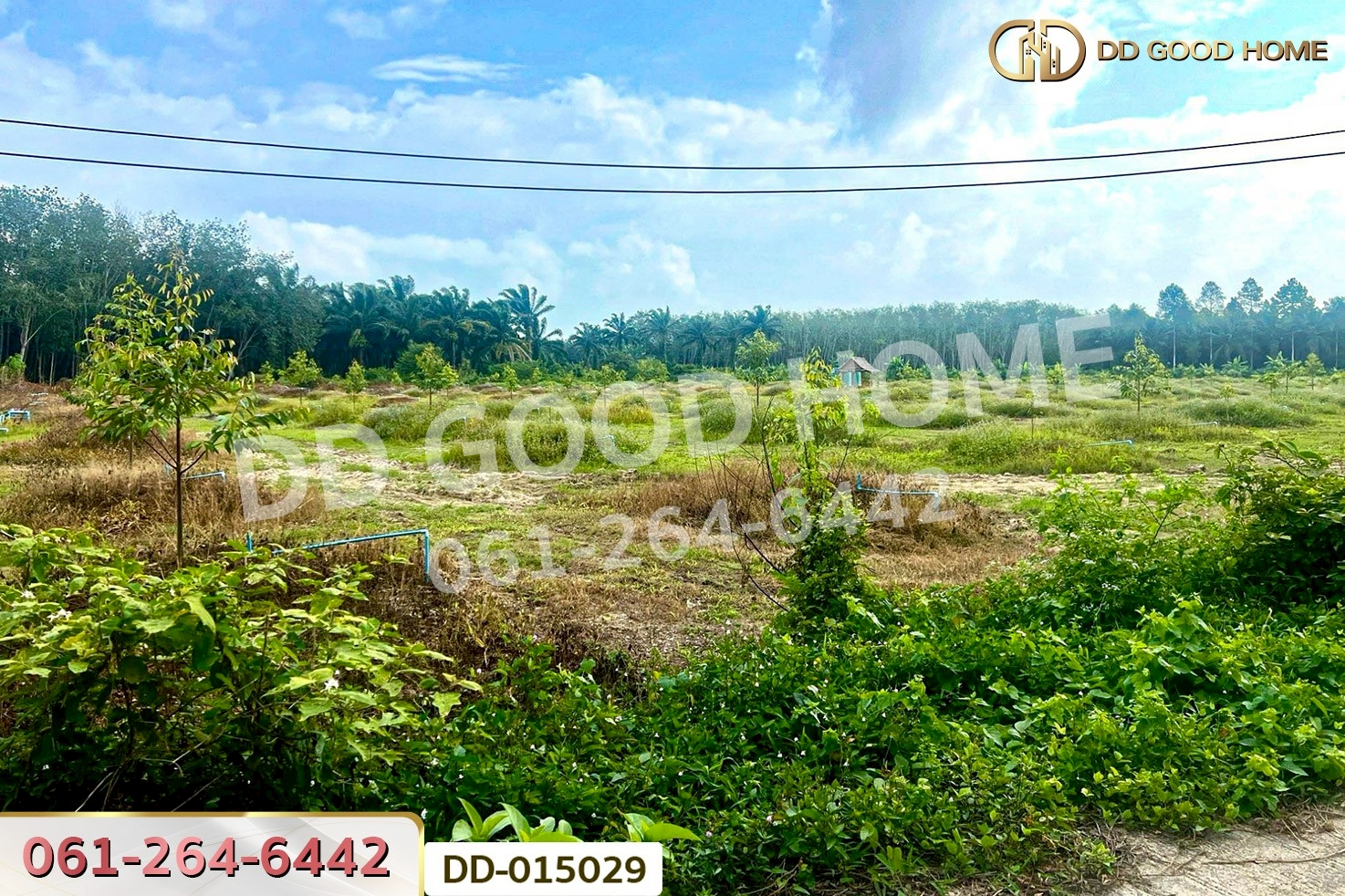 DD-015029 ที่ดินสิชล 9 ไร่ 356 ตร.ว.นครศรีธรรมราช ใกล้หาดท่าหมาก