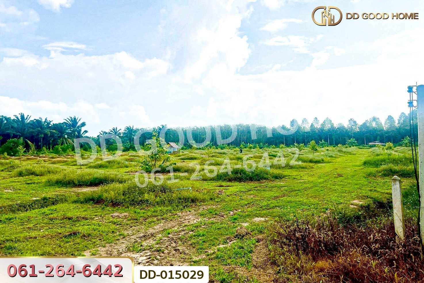 DD-015029 ที่ดินสิชล 9 ไร่ 356 ตร.ว.นครศรีธรรมราช ใกล้หาดท่าหมาก