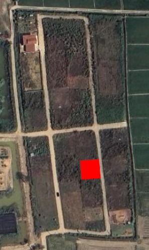 ขายที่ดินถมเเล้ว ทำเลดี เหมาะสำหรับสร้างบ้าน หรือเก็บไว้เก็งกำไร