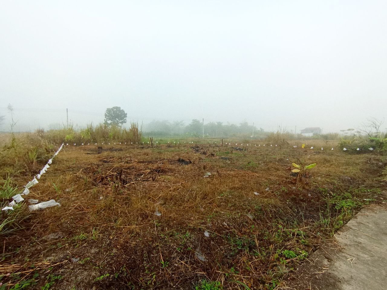 ขายที่ดินถมเเล้ว ทำเลดี เหมาะสำหรับสร้างบ้าน หรือเก็บไว้เก็งกำไร