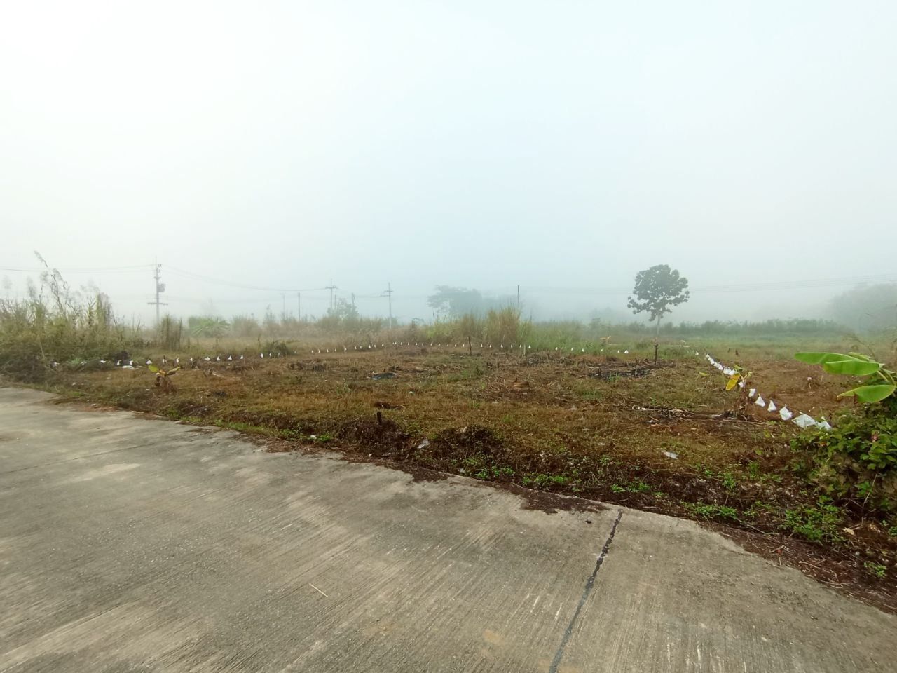 ขายที่ดินถมเเล้ว ทำเลดี เหมาะสำหรับสร้างบ้าน หรือเก็บไว้เก็งกำไร