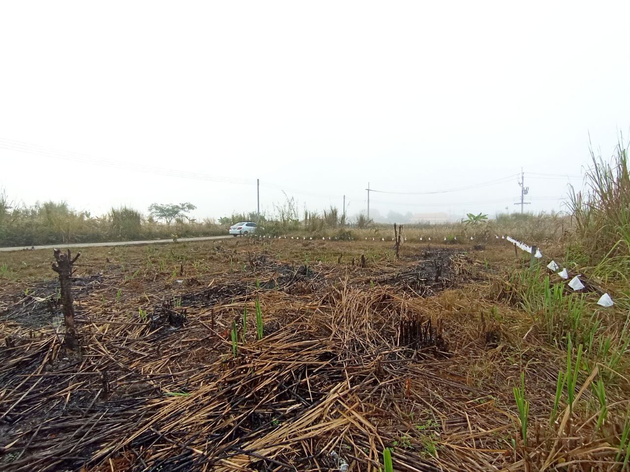 ขายที่ดินถมเเล้ว ทำเลดี เหมาะสำหรับสร้างบ้าน หรือเก็บไว้เก็งกำไร