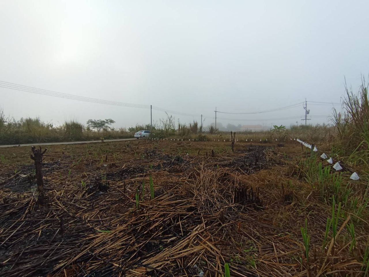 ขายที่ดินถมเเล้ว ทำเลดี เหมาะสำหรับสร้างบ้าน หรือเก็บไว้เก็งกำไร