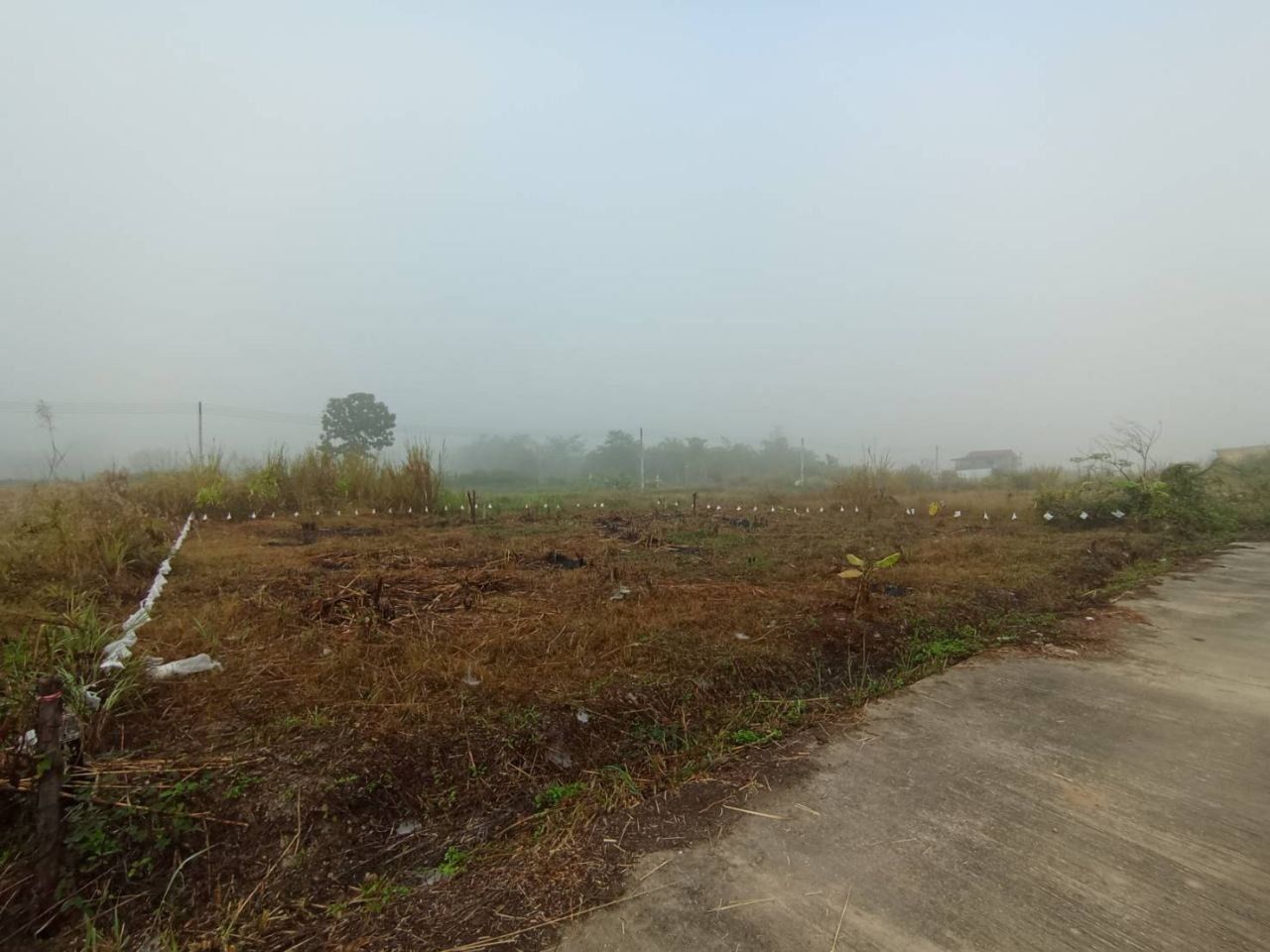 ขายที่ดินถมเเล้ว ทำเลดี เหมาะสำหรับสร้างบ้าน หรือเก็บไว้เก็งกำไร