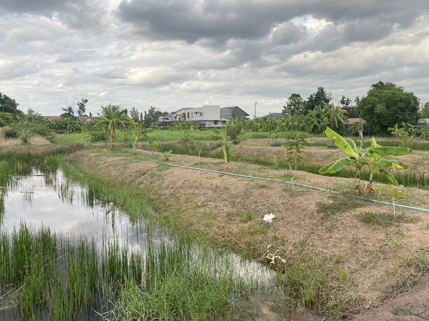 ขายที่ดินเปล่า ทำเลดี ซอยเทิดราชัน 47 ดอนเมือง ใกล้สนามบินดอนเมือง เดินทางสะดวก