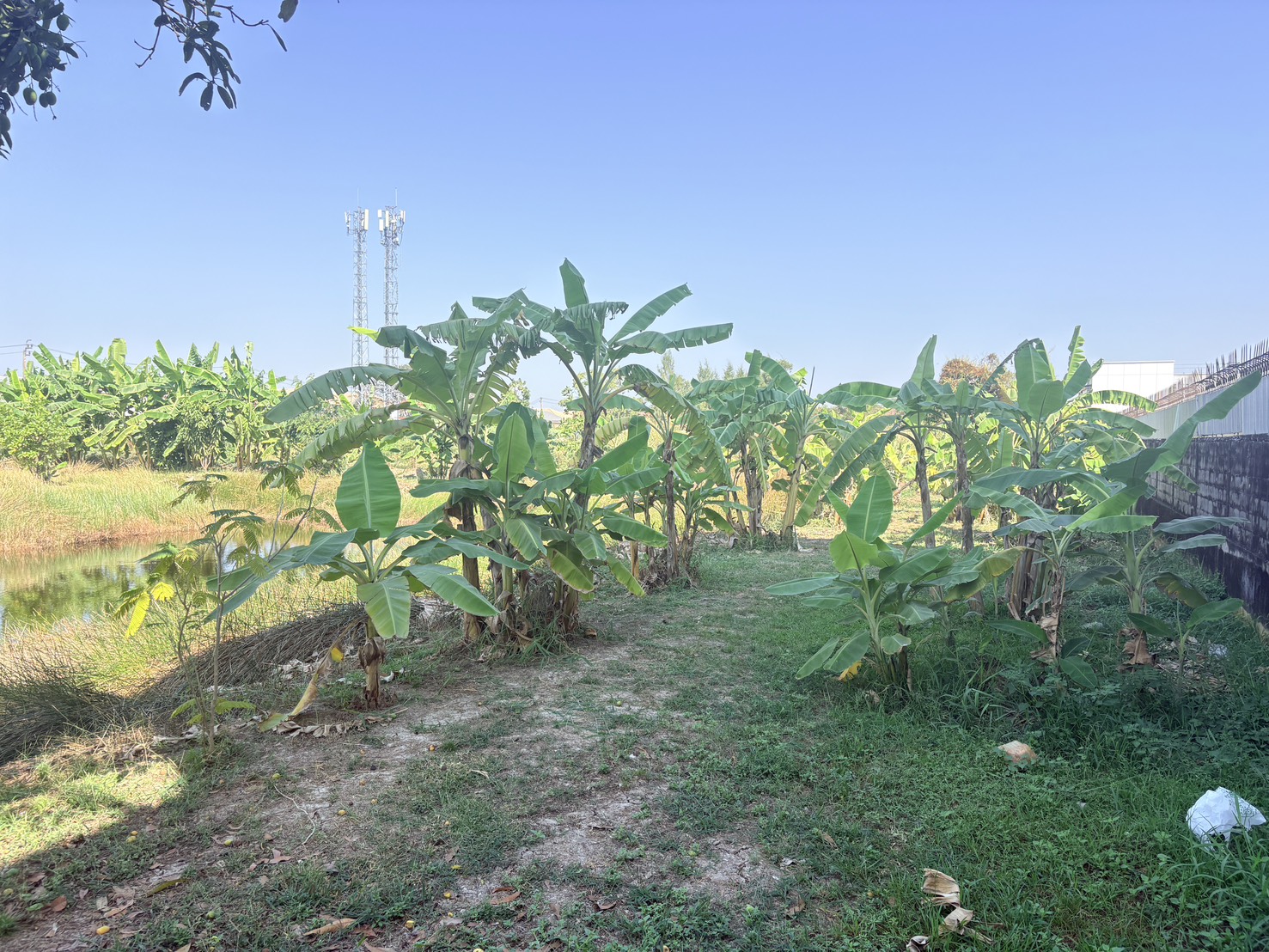 ขายที่ดินเปล่า ทำเลดี ซอยเทิดราชัน 47 ดอนเมือง ใกล้สนามบินดอนเมือง เดินทางสะดวก