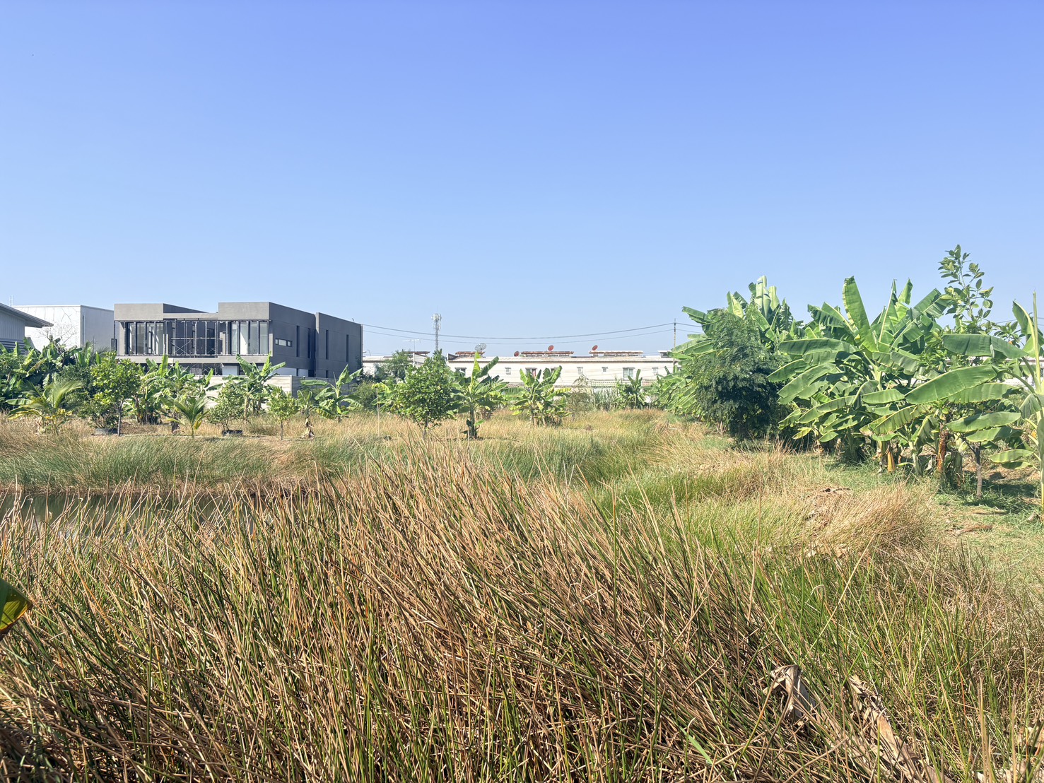 ขายที่ดินเปล่า ทำเลดี ซอยเทิดราชัน 47 ดอนเมือง ใกล้สนามบินดอนเมือง เดินทางสะดวก