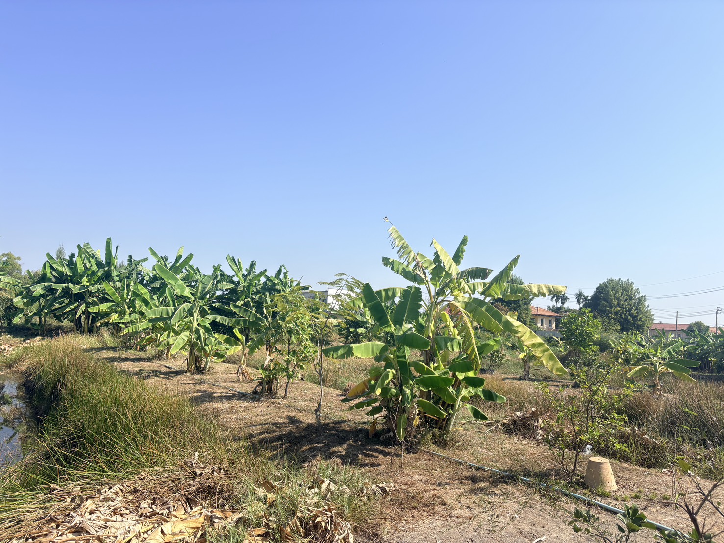 ขายที่ดินเปล่า ทำเลดี ซอยเทิดราชัน 47 ดอนเมือง ใกล้สนามบินดอนเมือง เดินทางสะดวก