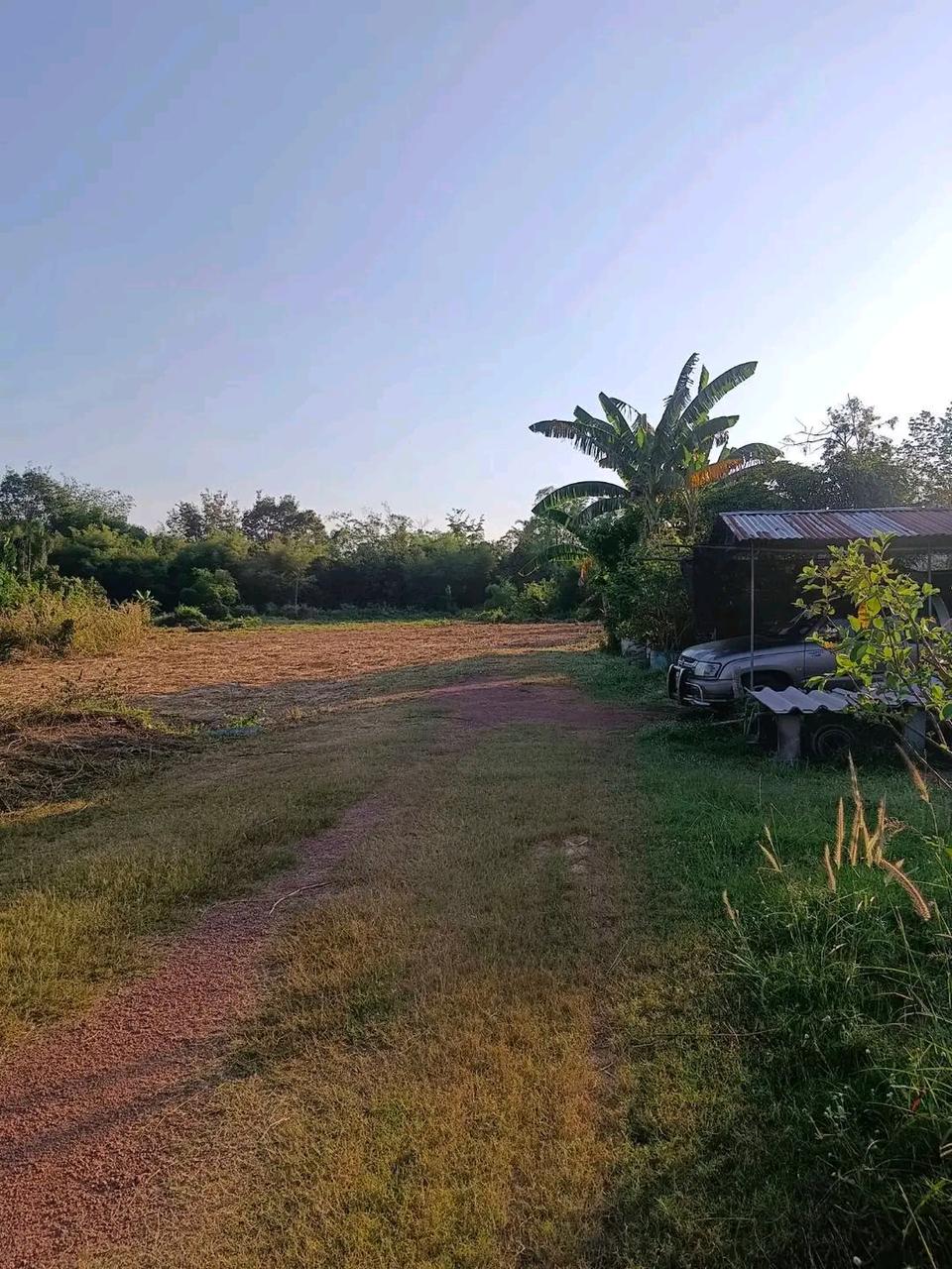 ขายที่ดินเปล่า ถมแล้วบางส่วน ทำเลดี เมืองปราจีนบุรี