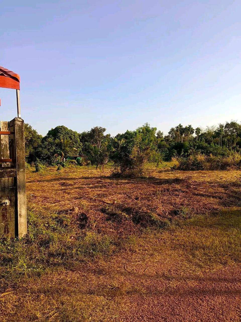 ขายที่ดินเปล่า ถมแล้วบางส่วน ทำเลดี เมืองปราจีนบุรี