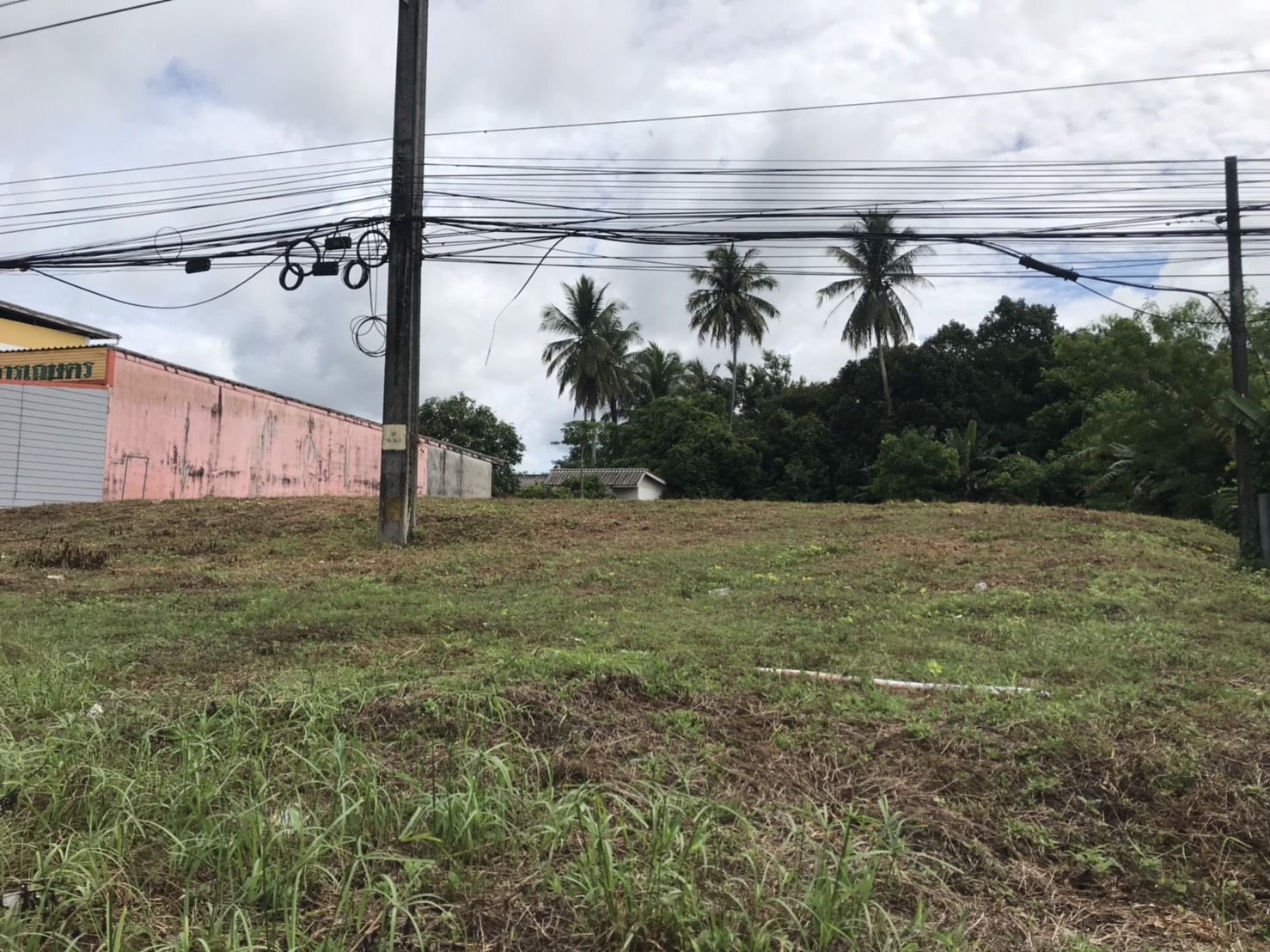 ขายที่ดินทำเลศักยภาพ ใจกลางเมืองตะกั่วป่า ติดถนนเพชรเกษม (4 เลน)