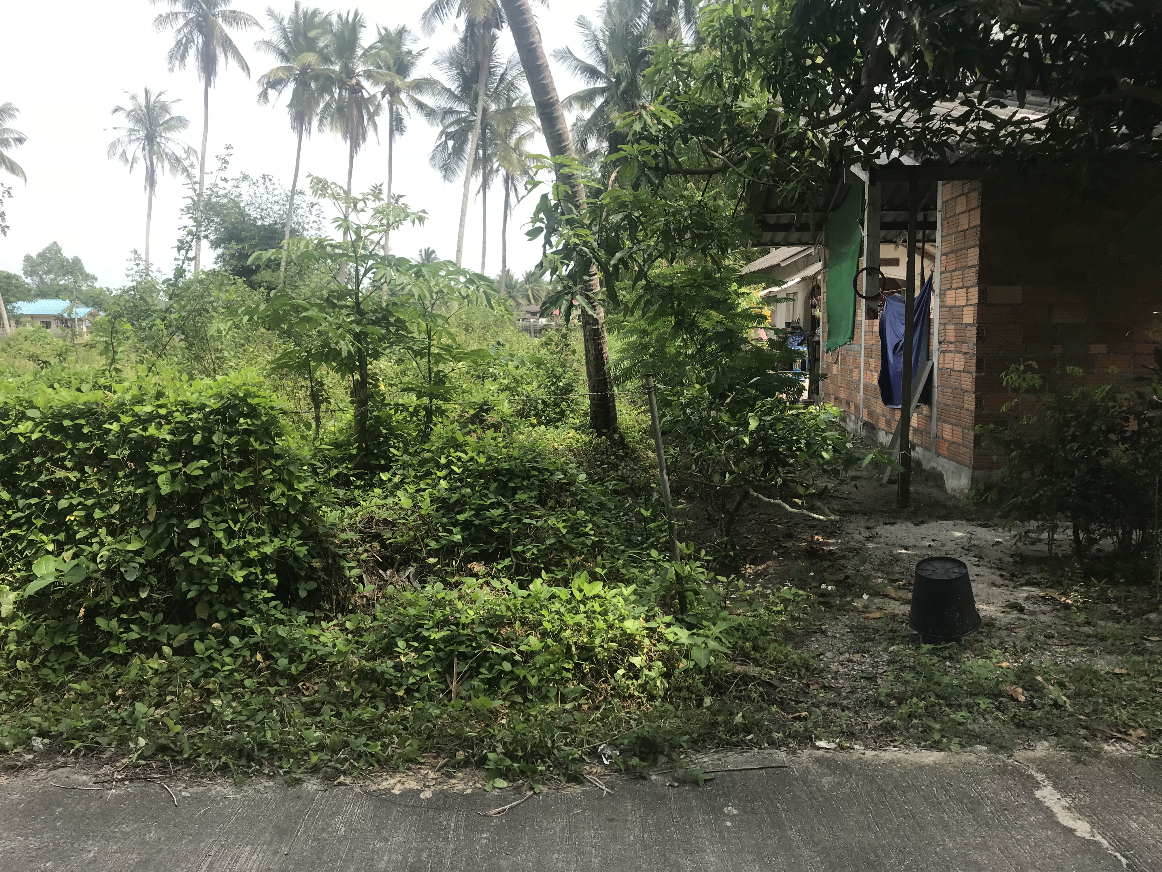 ขายที่ดินพร้อมสิ่งปลูกสร้าง สวยทำเลดี อำเภอเมือง จังหวัดนครศรีธรรมราช 