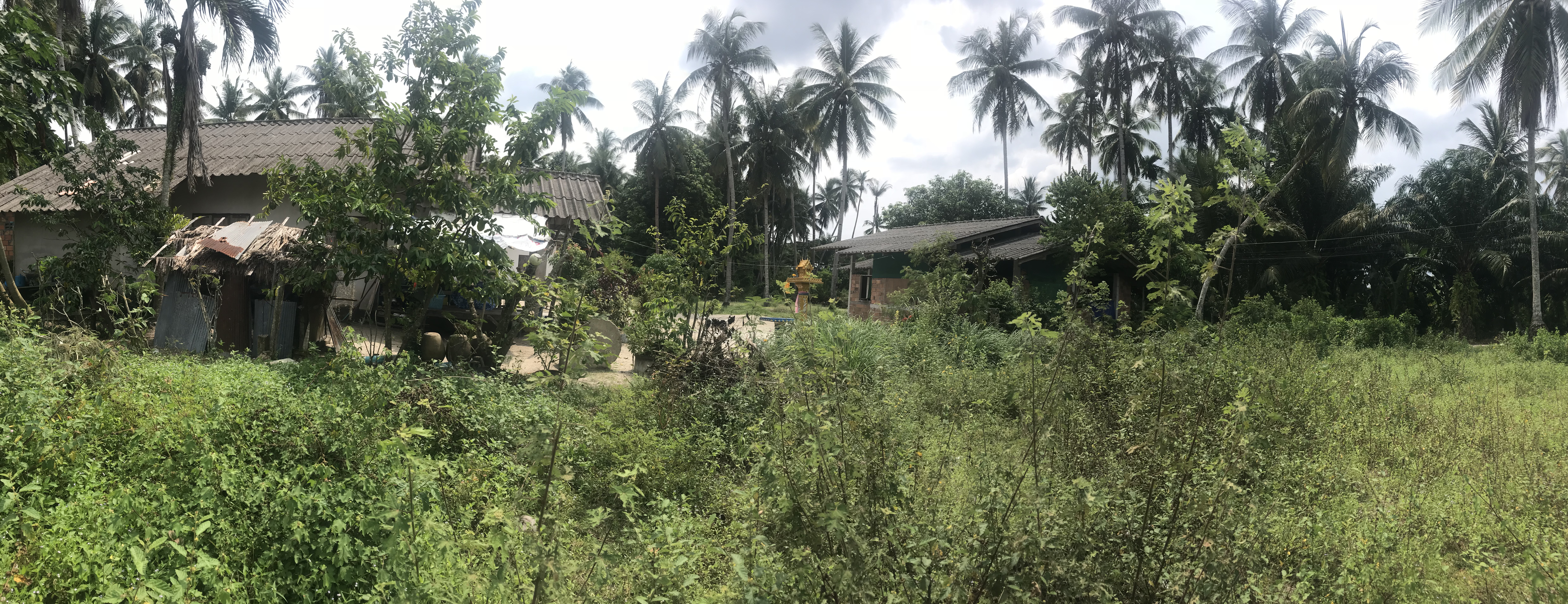 ขายที่ดินพร้อมสิ่งปลูกสร้าง สวยทำเลดี อำเภอเมือง จังหวัดนครศรีธรรมราช 