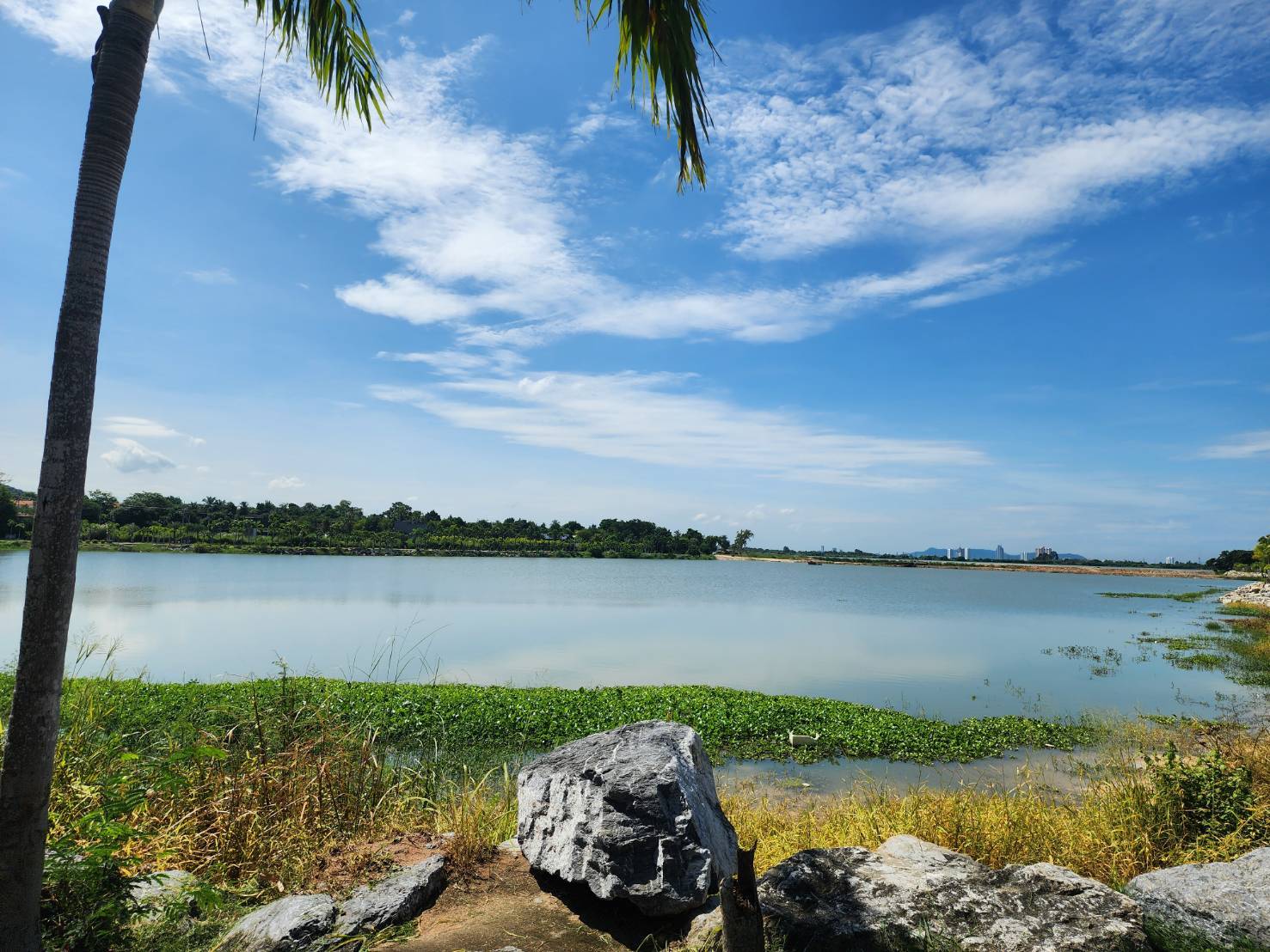 ขายทาวน์เฮ้าส์ 2 ชั้น (ขายตามสภาพ) หมู่บ้านนคราศิริ ซอยทุ่งกลม-ตาลหมัน19 จังหวัดชลบุรี