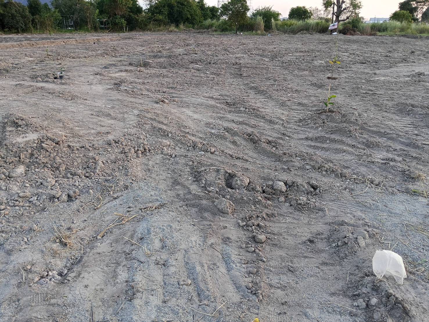 ขายที่ดินเปล่า ทำเลศักยภาพสูง เมืองชลบุรี