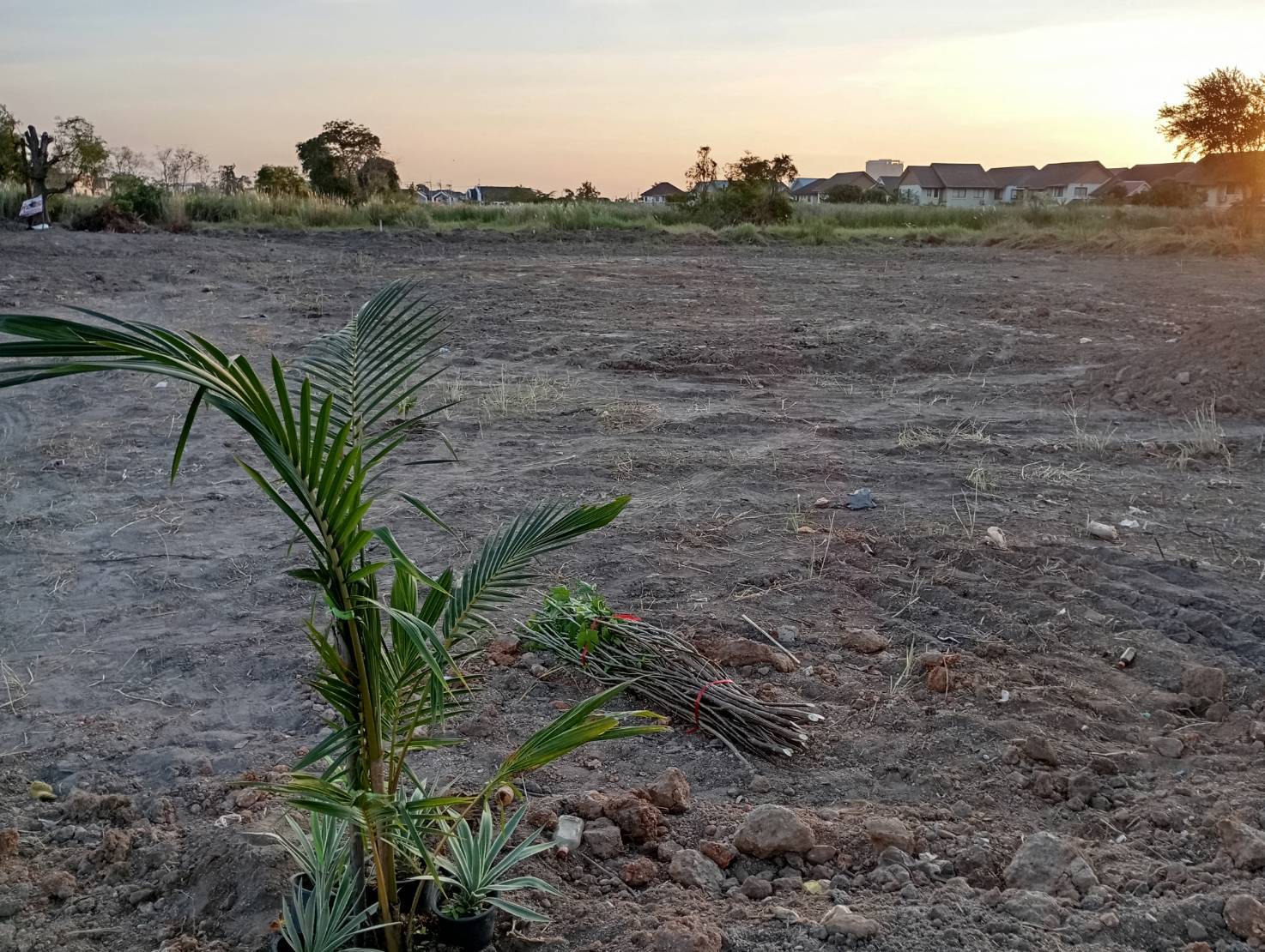 ขายที่ดินเปล่า ทำเลศักยภาพสูง เมืองชลบุรี