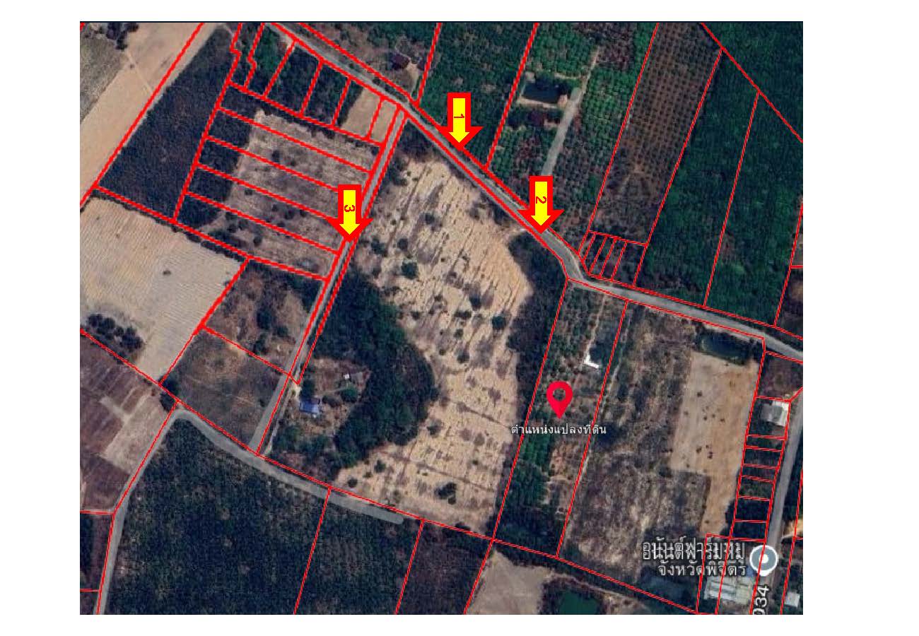 ขายที่ดินแบ่งแปลง ใกล้โรงเรียนบ้านหนองจั่ว ทำเลดี ราคาเริ่มต้นเพียง 430,000 บาท เท่านั้น!