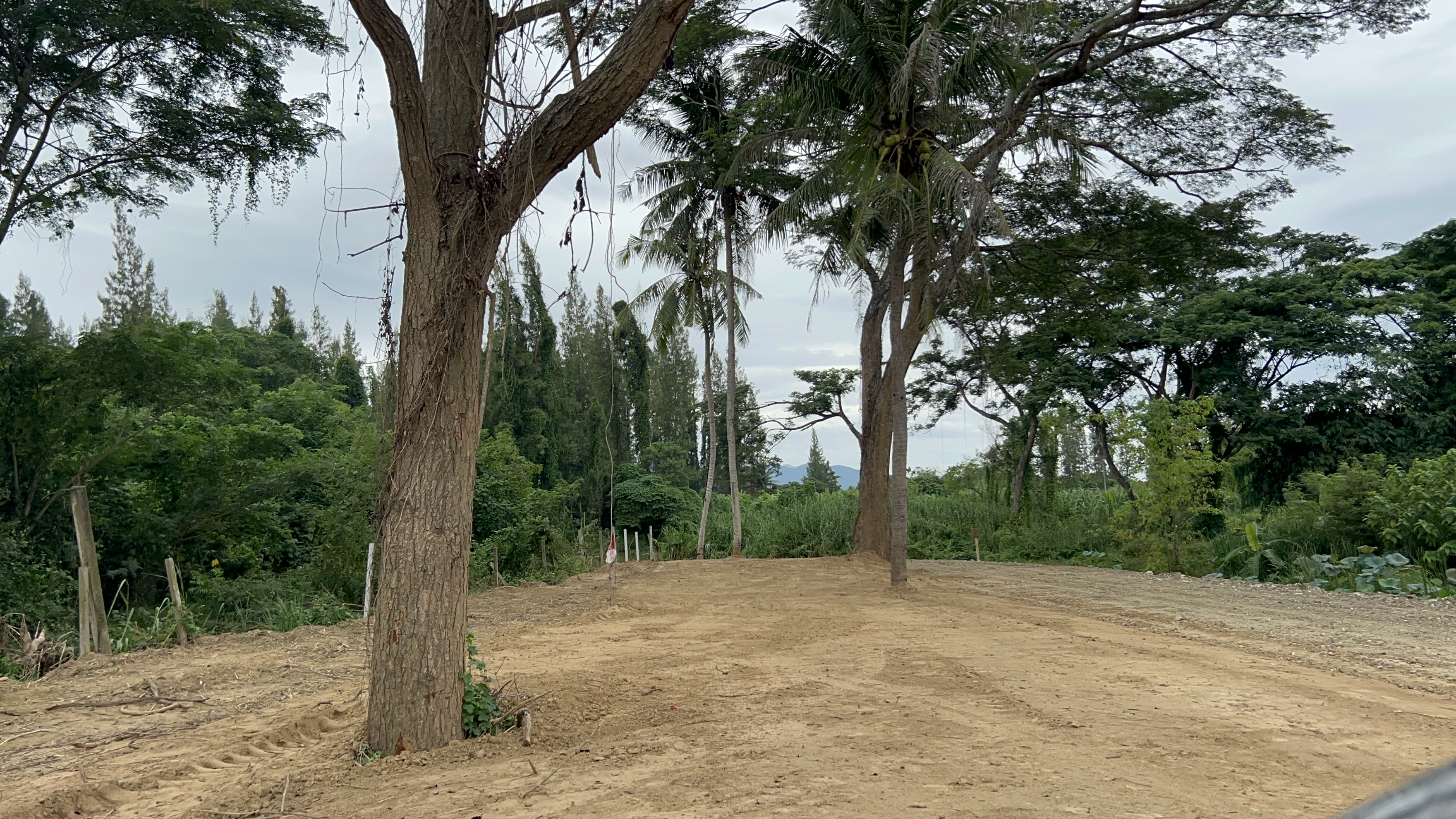 ขายที่ดินเปล่า ทำเลศักยภาพสูง ติดคลองแม่ประจันต์ อำเภอท่ายาง จังหวัดเพชรบุรี