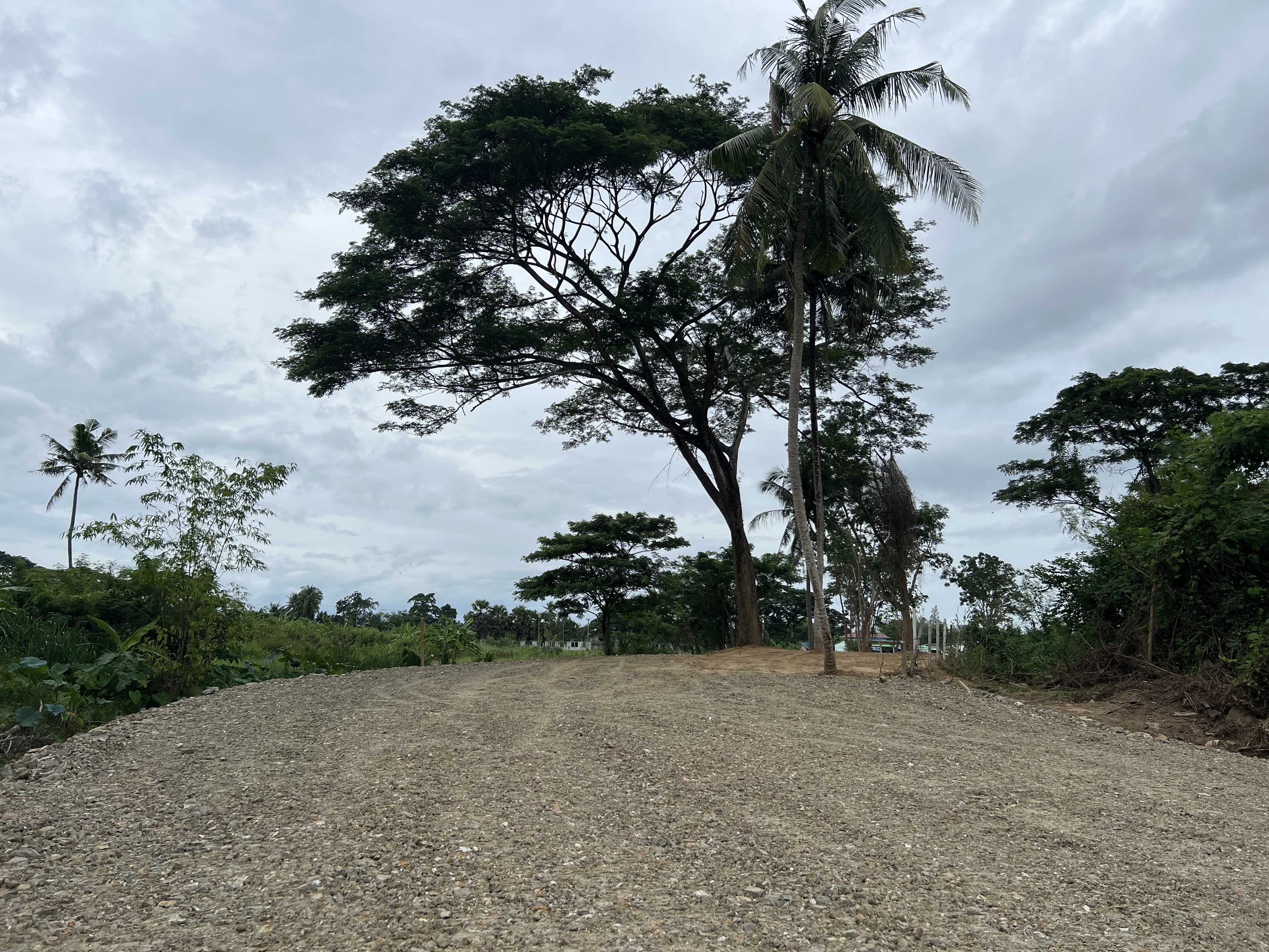 ขายที่ดินเปล่า ทำเลศักยภาพสูง ติดคลองแม่ประจันต์ อำเภอท่ายาง จังหวัดเพชรบุรี