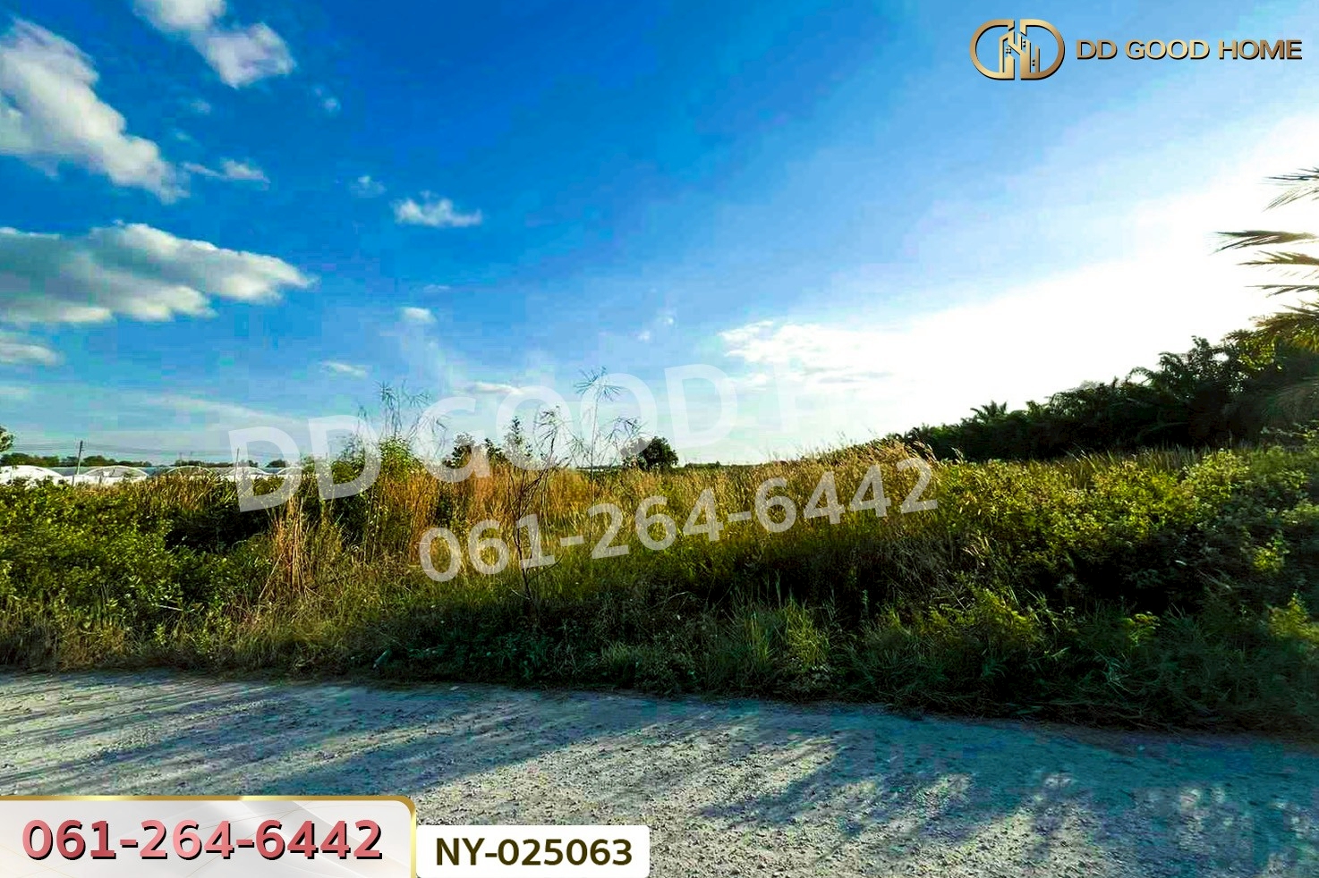 NY-025063 ที่ดินแหลมสิงห์ 15 ไร่ 112 ตร.ว. จันทบุรี ใกล้ฟาร์ม ซีพี บางสระแก้ว