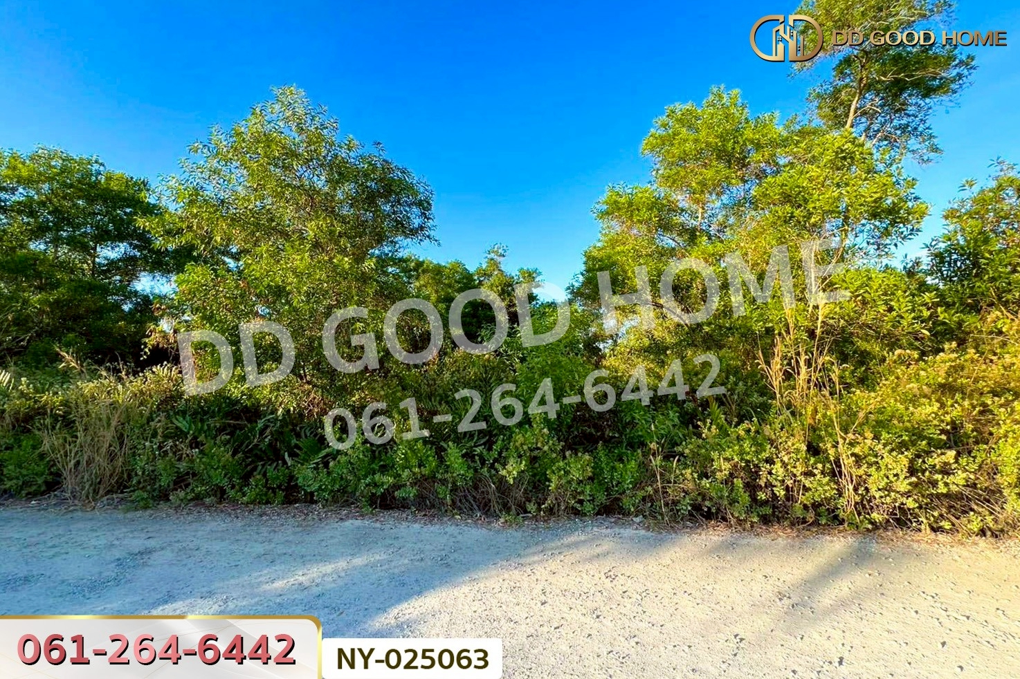 NY-025063 ที่ดินแหลมสิงห์ 15 ไร่ 112 ตร.ว. จันทบุรี ใกล้ฟาร์ม ซีพี บางสระแก้ว