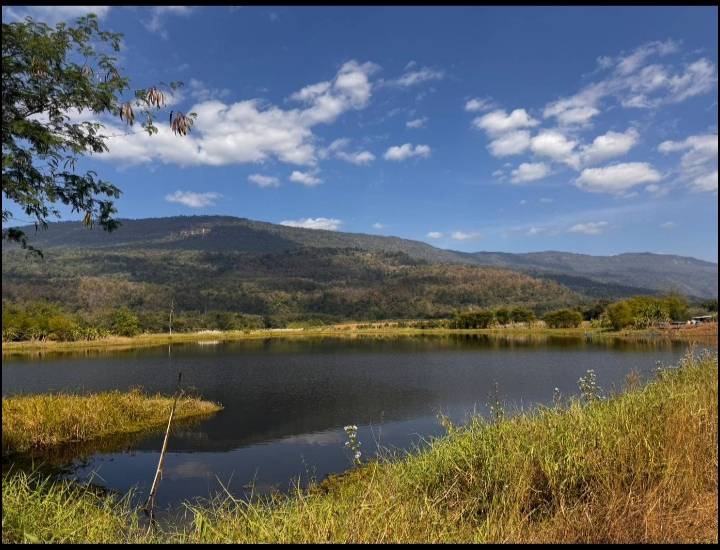 ขายที่ดินเปล่า วิวภูเขาและ ติดอ่างเก็บน้ำธรรมชาติ  ติดถนน 2 ด้าน ทำเลดี อำเภอหนองบัวแดง จังหวัดชัยภูมิ