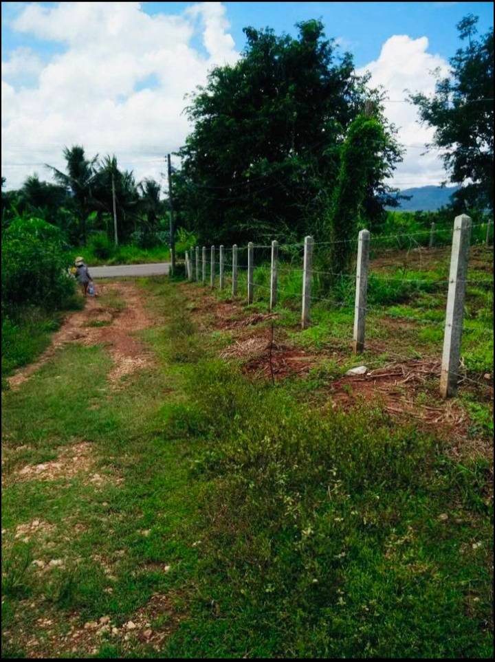 ขายที่ดินเปล่า วิวภูเขาและ ติดอ่างเก็บน้ำธรรมชาติ  ติดถนน 2 ด้าน ทำเลดี อำเภอหนองบัวแดง จังหวัดชัยภูมิ