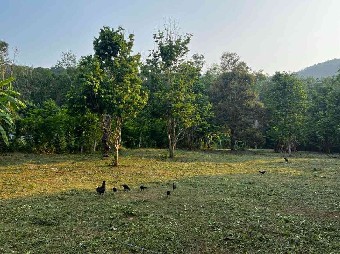 ขายที่ดิน ทำเลดี ใกล้ทะเล เกาะช้าง จังหวัดตราด