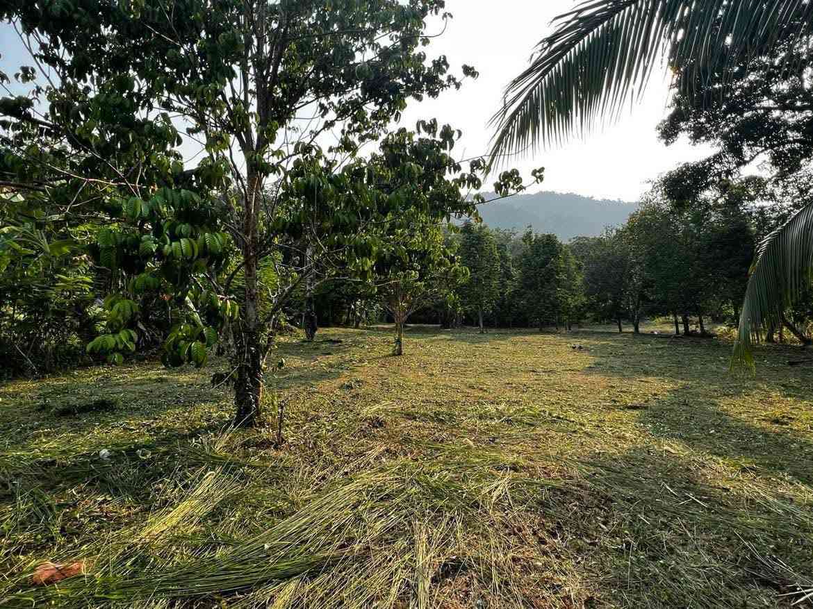 ขายที่ดิน ทำเลดี ใกล้ทะเล เกาะช้าง จังหวัดตราด