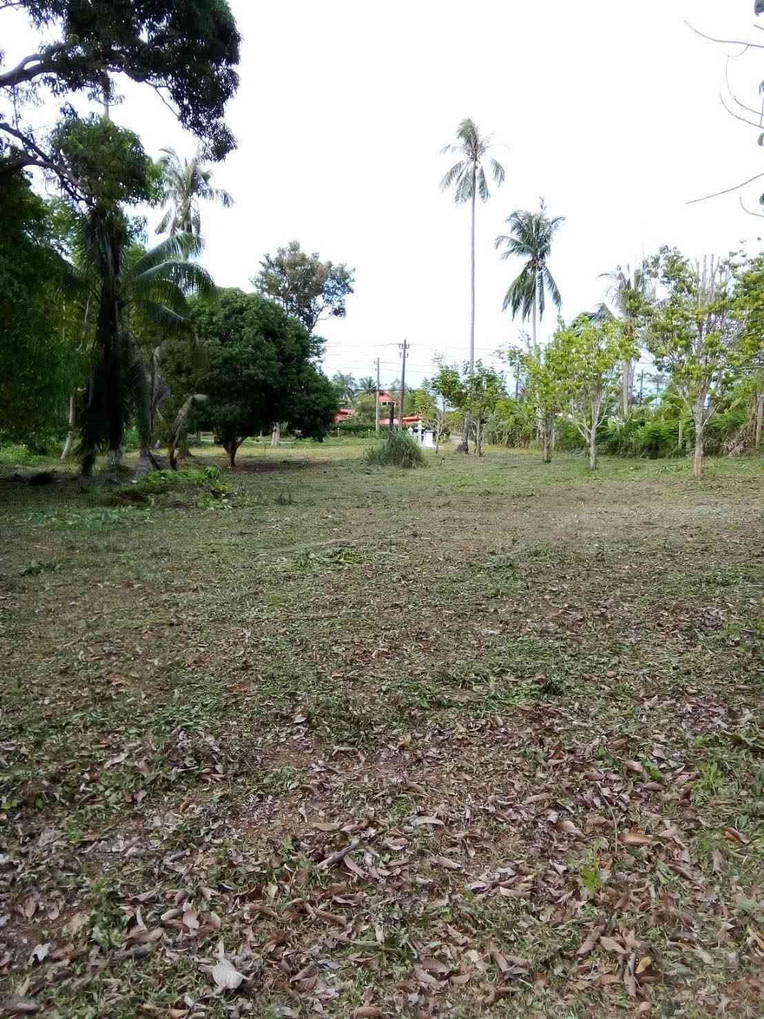 ขายที่ดิน ทำเลดี ใกล้ทะเล เกาะช้าง จังหวัดตราด