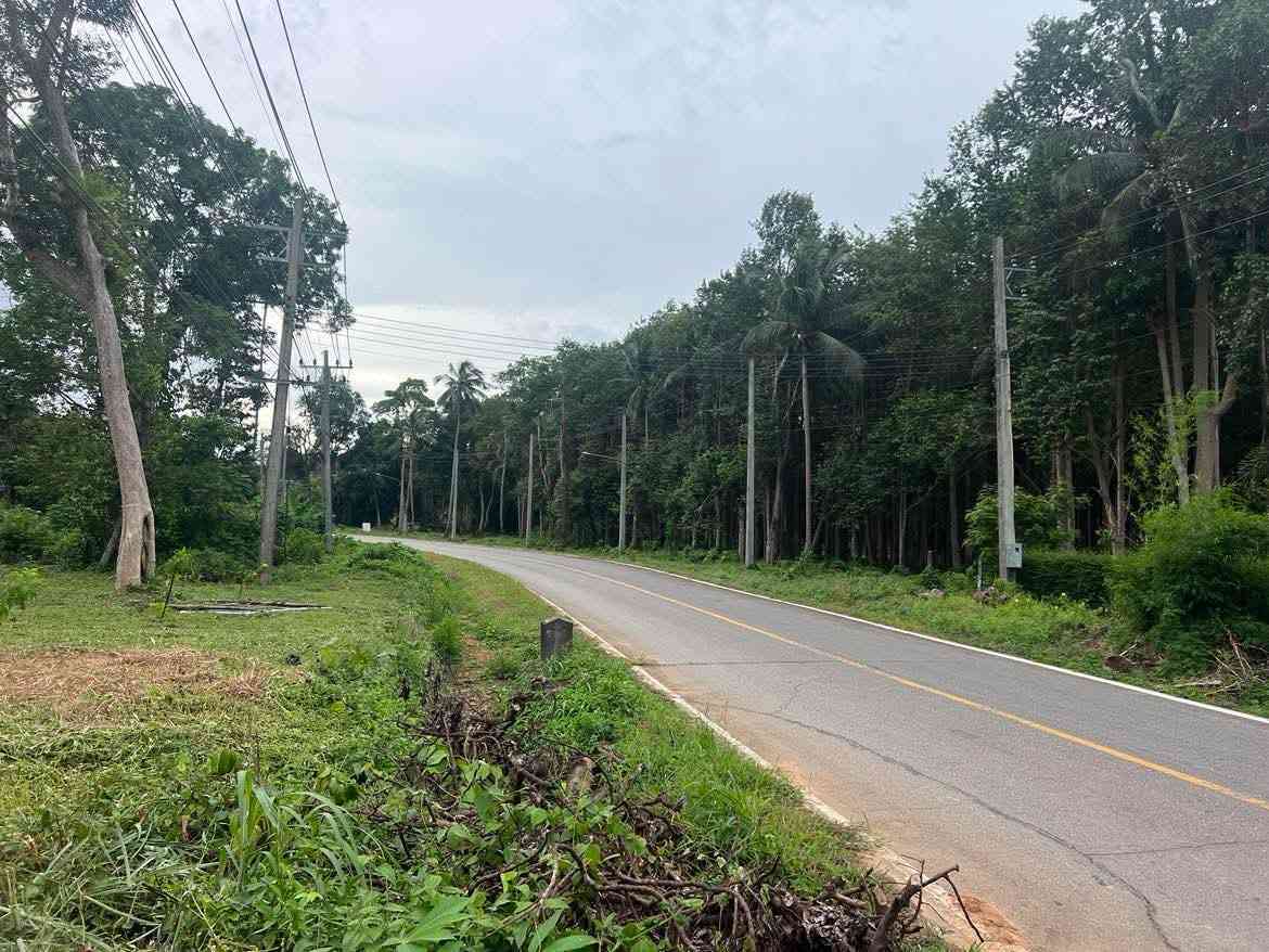 ขายที่ดิน ทำเลดี ใกล้ทะเล เกาะช้าง จังหวัดตราด