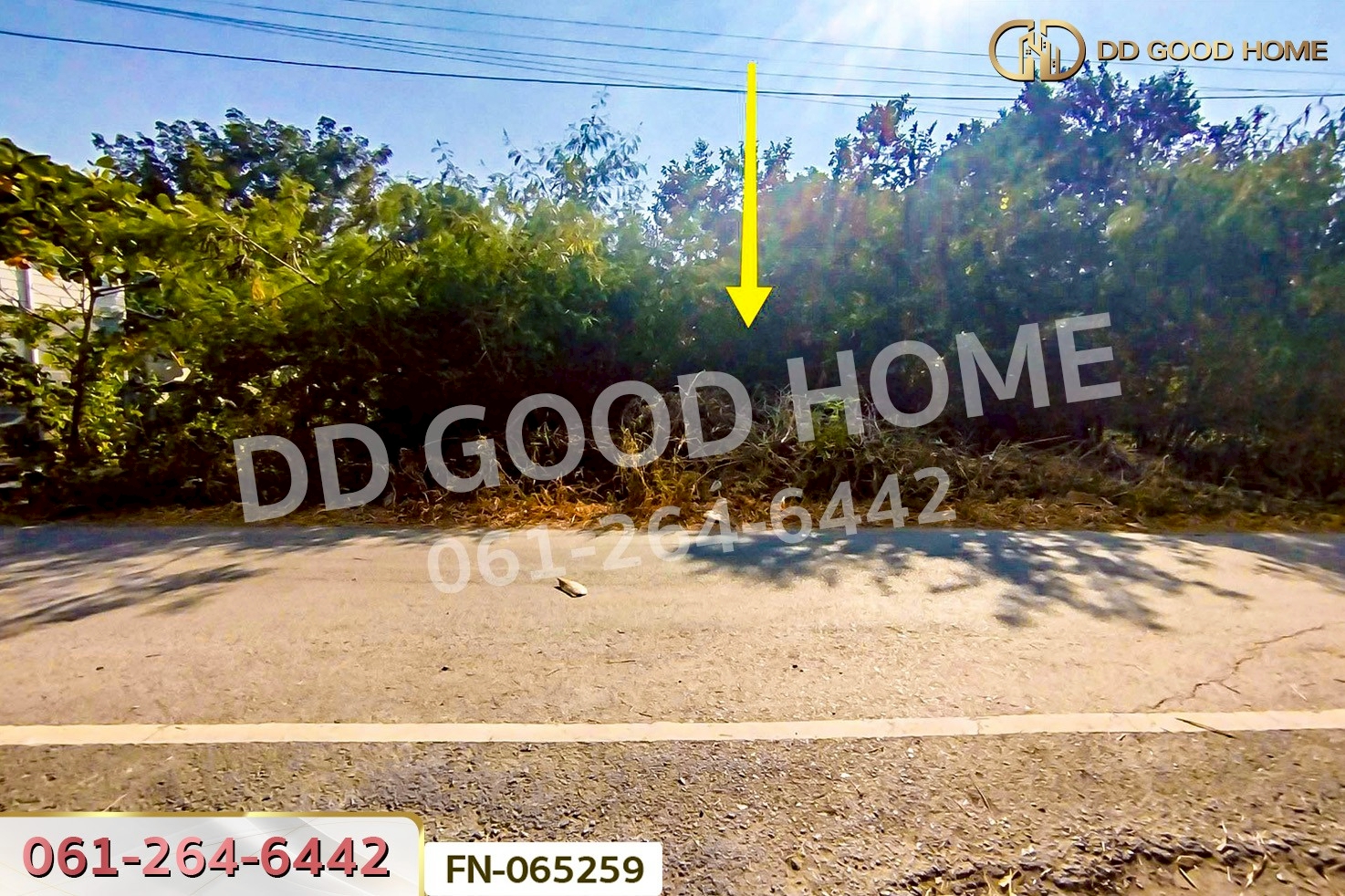 FN-065259 ที่ดินเกาะลอย 8 ไร่ 226 ตร.ว.พระนครศรีอยุธยา ใกล้สถานีรถไฟอยุธยา