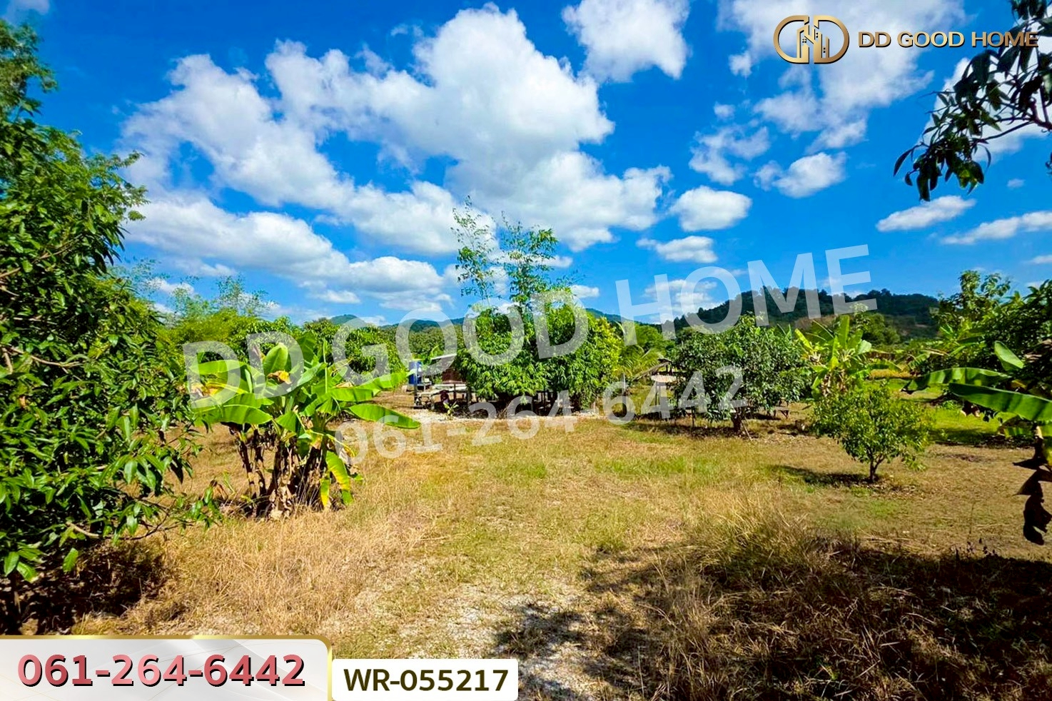 WR-055217 ที่ดินพร้อมบ้านแฝดเชียงคาน 2 ไร่ 184.5 ตร.ว. เลย ใกล้ถนนคนเดินเชียงคาน