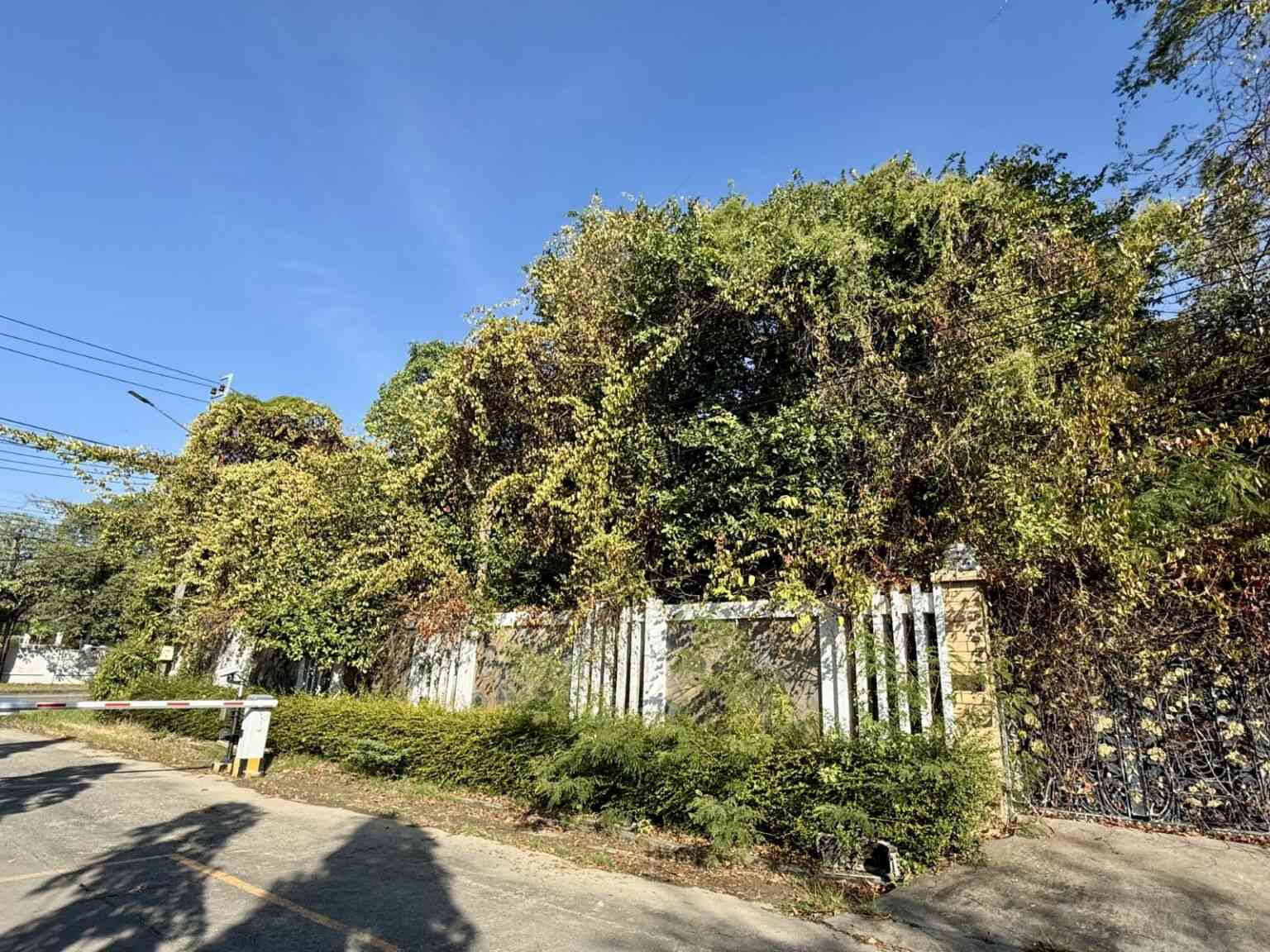 ขายบ้านเดี่ยว 2 ชั้น หมู่บ้านกรีนวัลเล่  อำเภอบางพลี  จังหวัดสมุทรปราการ