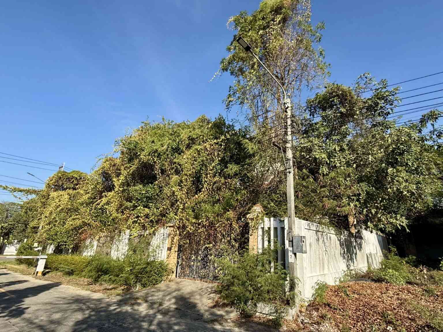 ขายบ้านเดี่ยว 2 ชั้น หมู่บ้านกรีนวัลเล่  อำเภอบางพลี  จังหวัดสมุทรปราการ