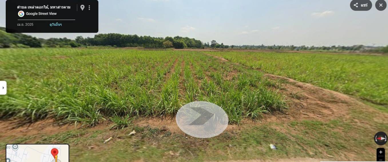 ขายที่ดินเปล่า ทำเลดี อำเภอ ชื่นชม มหาสารคาม
