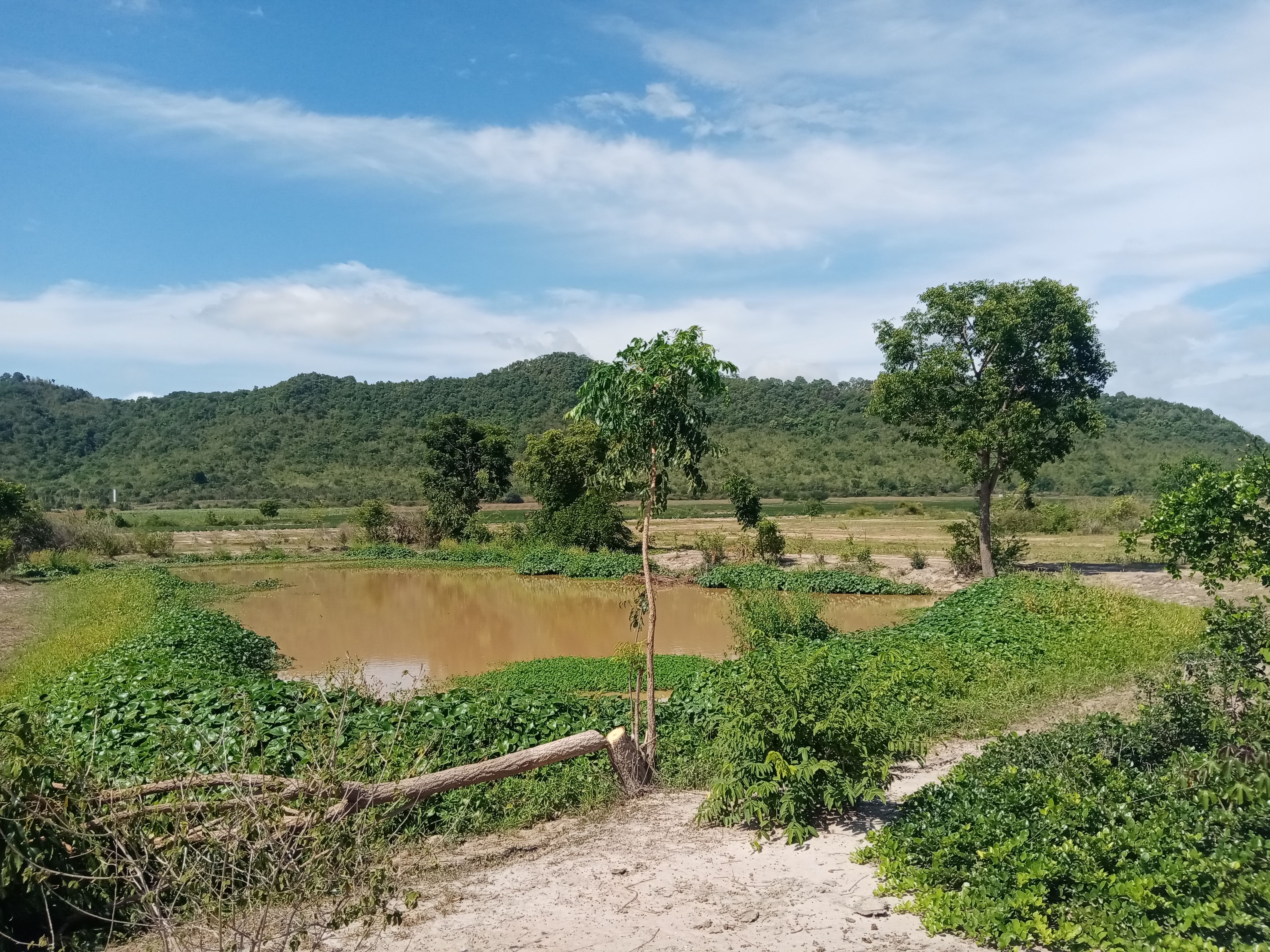 ราคาถู๊กถูกสุดๆ ที่ดินทำเลทอง โฉนดครุฑแดง เชิงเขา ติดห้วย น้ำไฟพร้อม ถนนลาดยาง อ.ท่าม่วง จ.กาญจนบุรี 60ไร่+ เพียงไร่ละ190,000