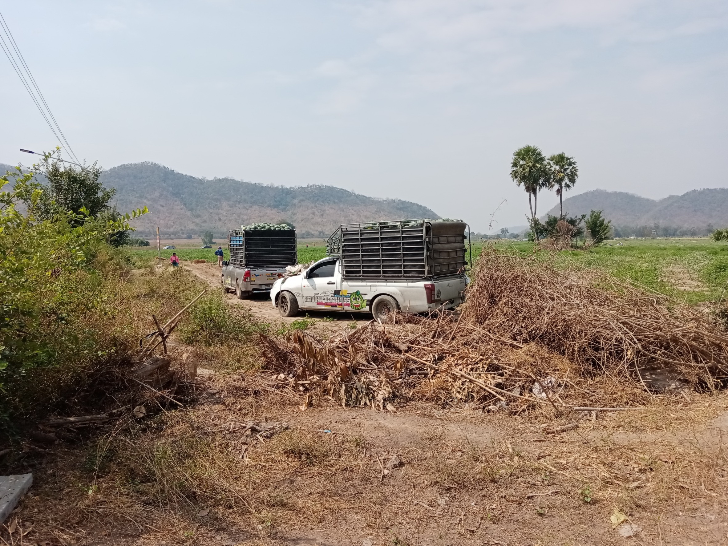 ราคาถู๊กถูกสุดๆ ที่ดินทำเลทอง โฉนดครุฑแดง เชิงเขา ติดห้วย น้ำไฟพร้อม ถนนลาดยาง อ.ท่าม่วง จ.กาญจนบุรี 60ไร่+ เพียงไร่ละ190,000