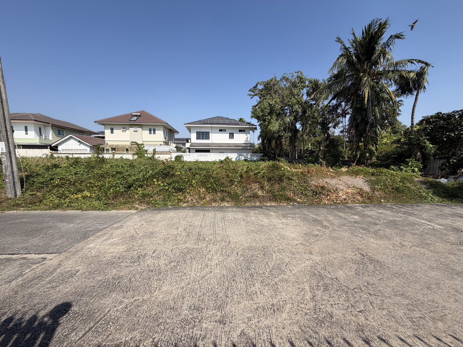 ขายที่ดินเปล่า ทำเลดี ย่านตลิ่งชัน กรุงเทพฯ