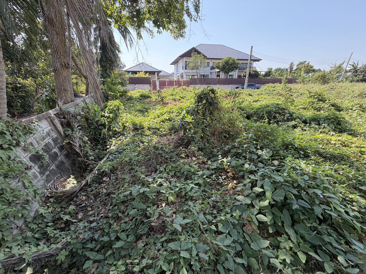 ขายที่ดินเปล่า ทำเลดี ย่านตลิ่งชัน กรุงเทพฯ