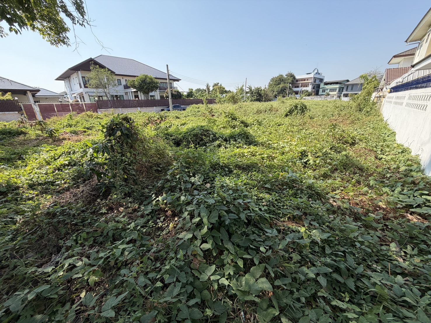 ขายที่ดินเปล่า ทำเลดี ย่านตลิ่งชัน กรุงเทพฯ