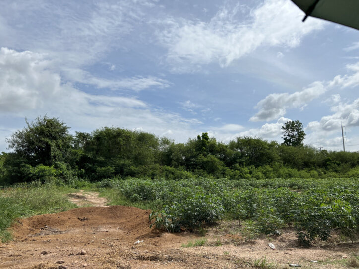 ขายที่ดินเปล่า ทำเลดี ตำบลหัวถนน อำเภอพนัสนิคม จังหวัดชลบุรี