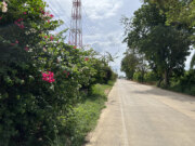 ขายที่ดินเปล่า ทำเลดี ตำบลหัวถนน อำเภอพนัสนิคม จังหวัดชลบุรี