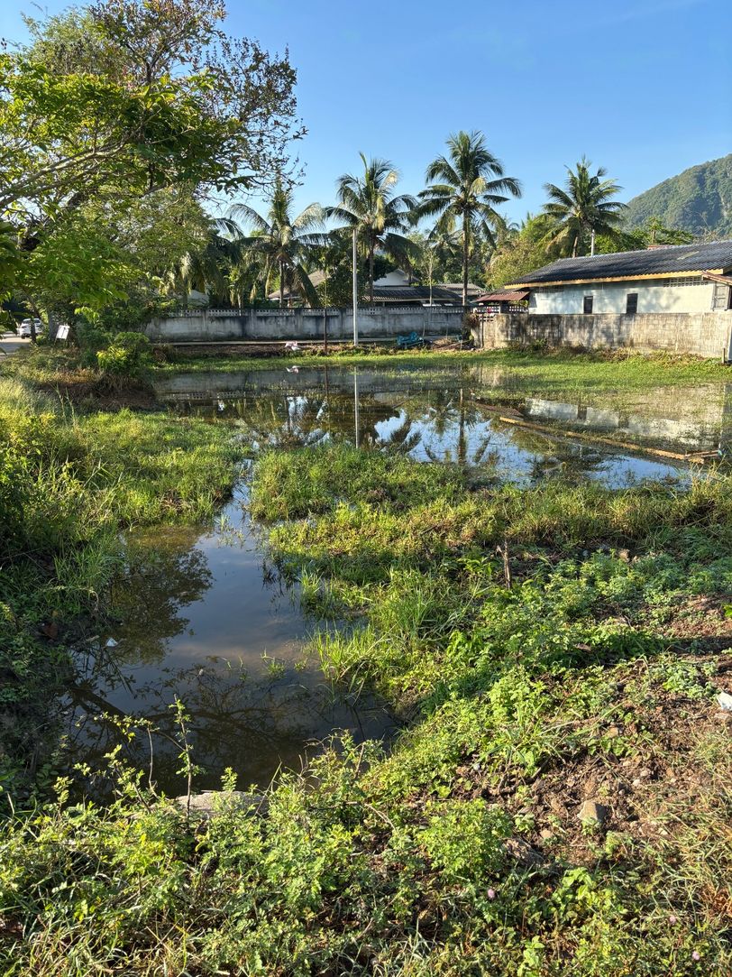 ขายที่ดินเปล่า ทำเลดี ใกล้ตลาด อ.เมือง พัทลุง