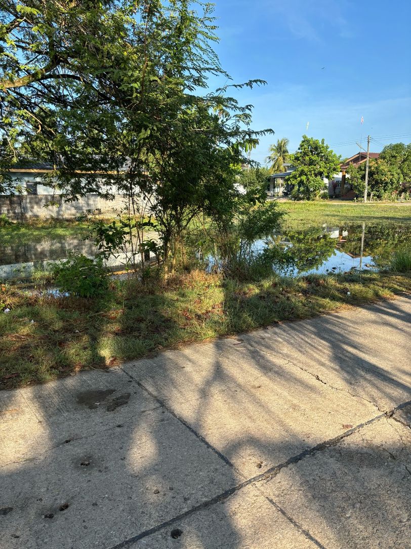 ขายที่ดินเปล่า ทำเลดี ใกล้ตลาด อ.เมือง พัทลุง