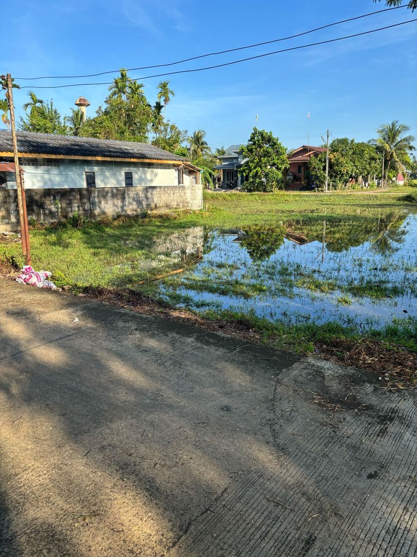 ขายที่ดินเปล่า ทำเลดี ใกล้ตลาด อ.เมือง พัทลุง