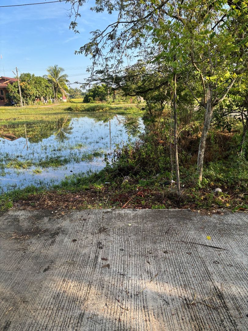 ขายที่ดินเปล่า ทำเลดี ใกล้ตลาด อ.เมือง พัทลุง