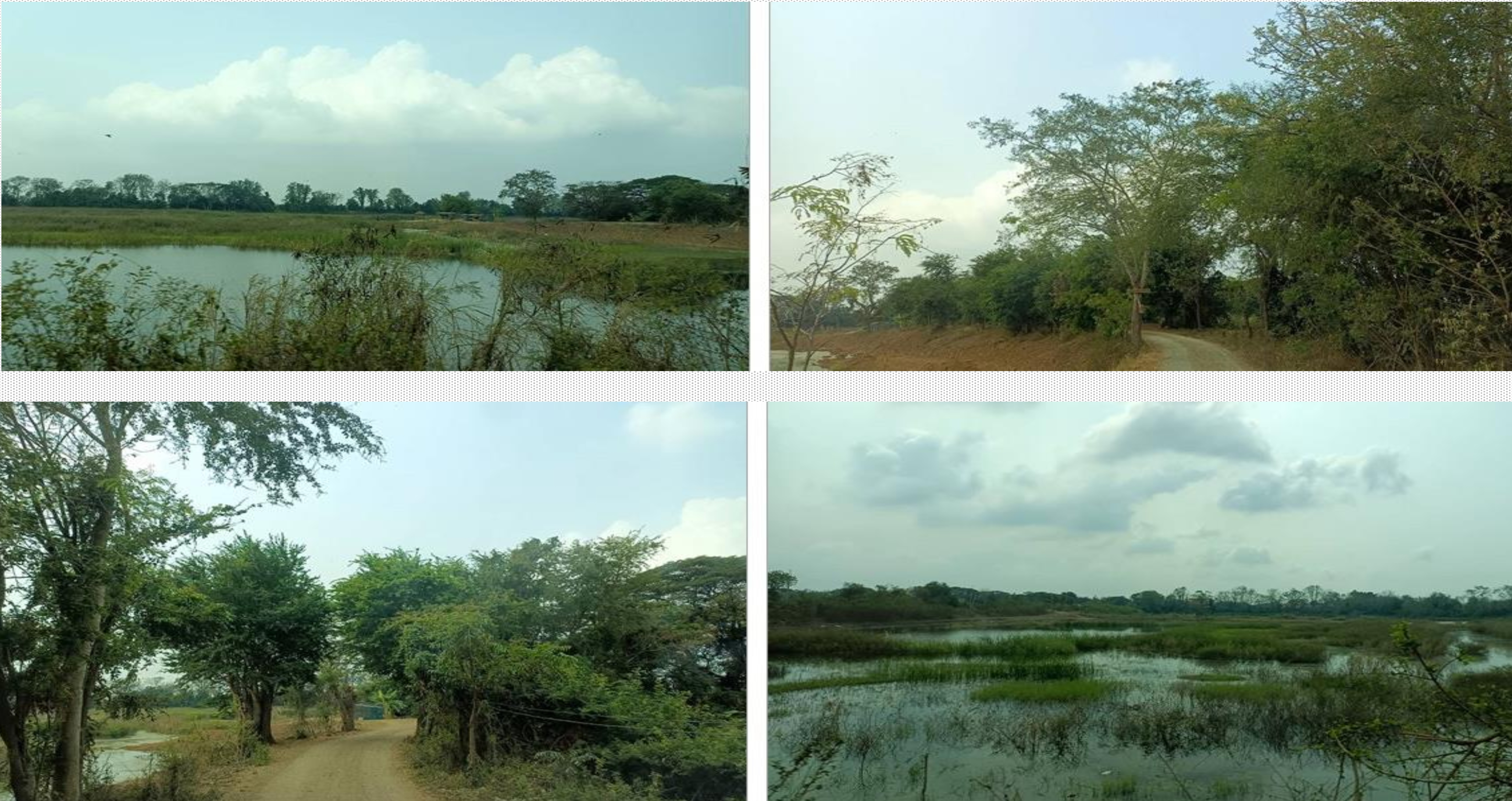 ขายที่ดินเปล่า 113-0-60 ไร่ ทำเลดี จ.พระนครศรีอยุธยา ( มหาราช )