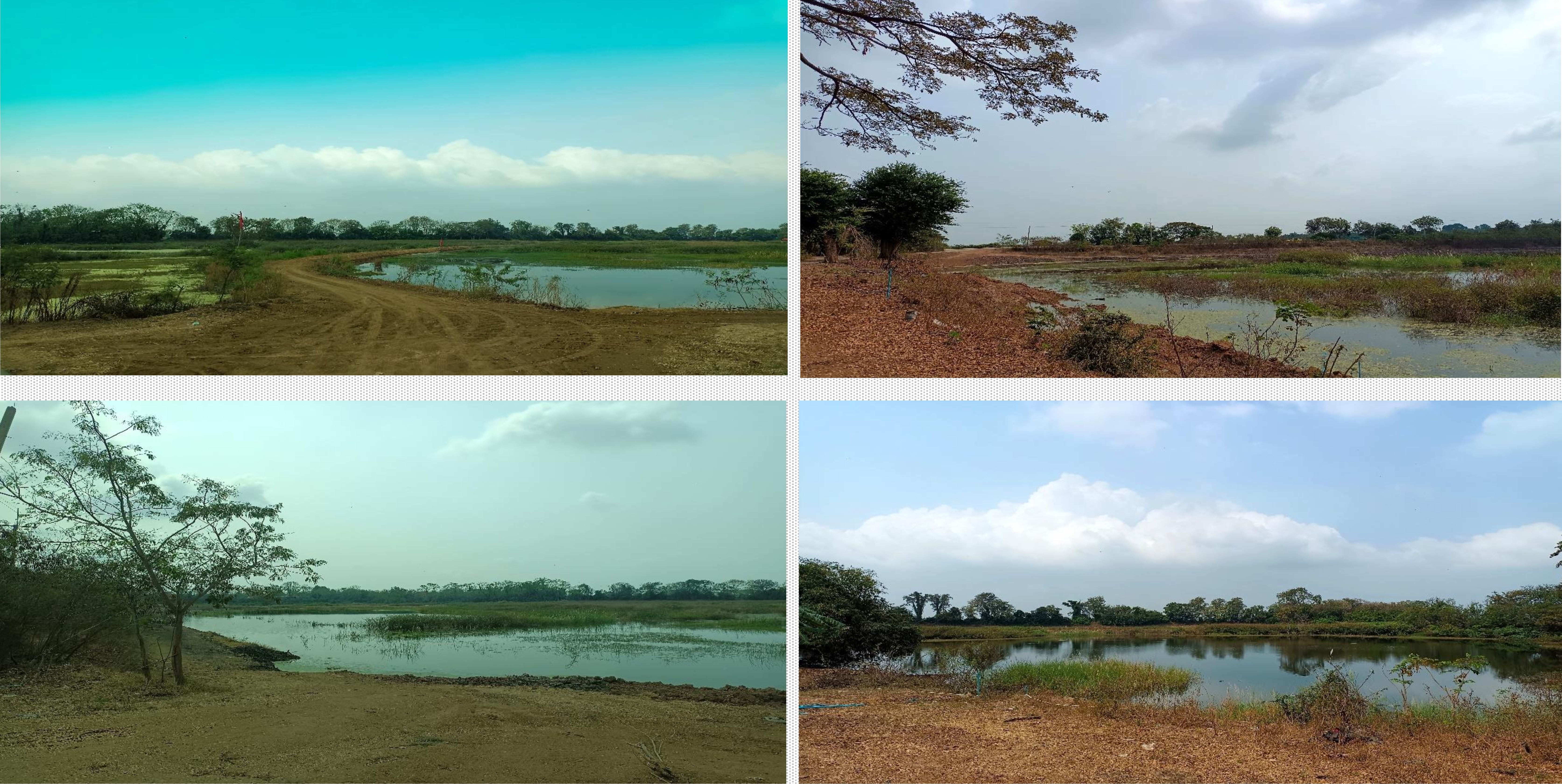 ขายที่ดินเปล่า 113-0-60 ไร่ ทำเลดี จ.พระนครศรีอยุธยา ( มหาราช )