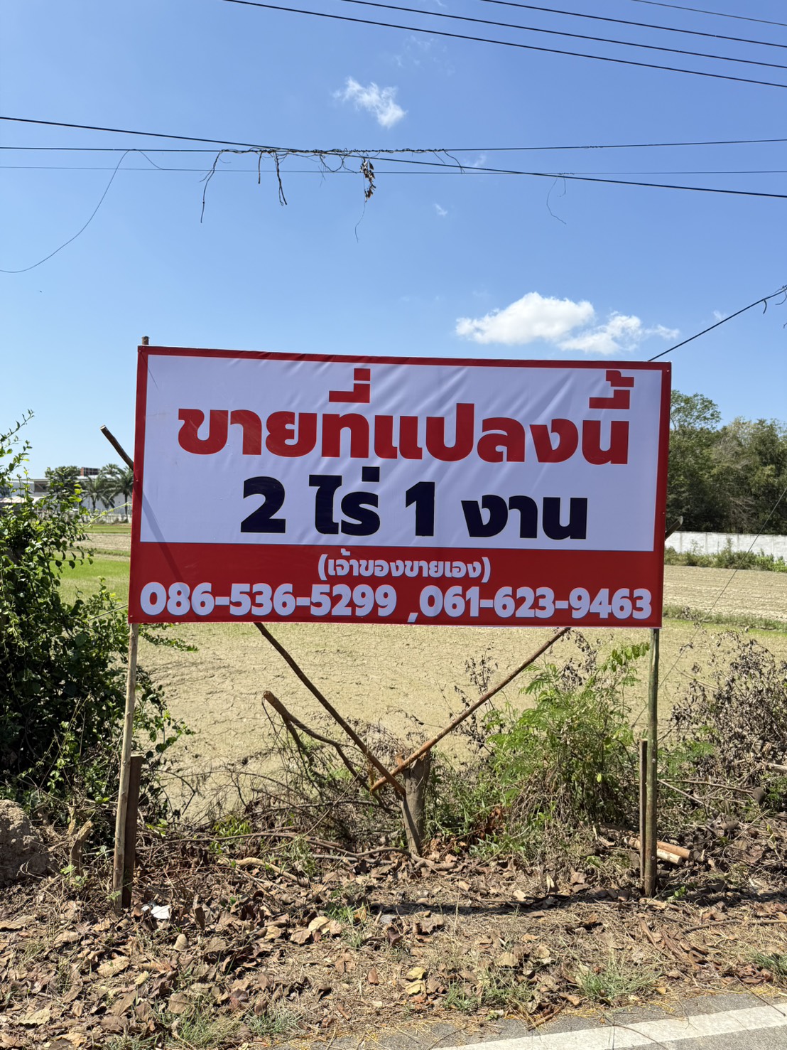 ขายที่ดินเปล่า ทำเลดี ใกล้ถนนเพชรเกษม – บ้านลาด เพชรบุรี